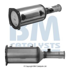BM Catalysts  BM11010