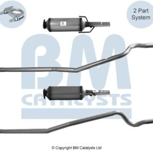 BM Catalysts  BM11019