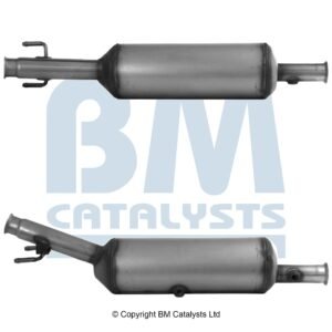 BM Catalysts  BM31021H