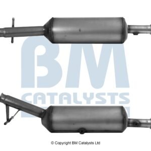 BM Catalysts  BM31032H