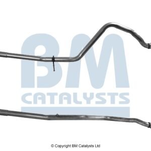 BM Catalysts  BM50039