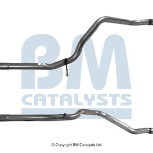 BM Catalysts  BM50060