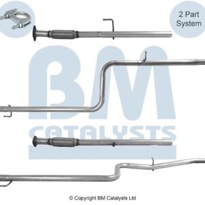 BM Catalysts  BM50217
