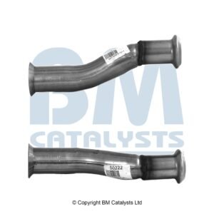 BM Catalysts  BM50222