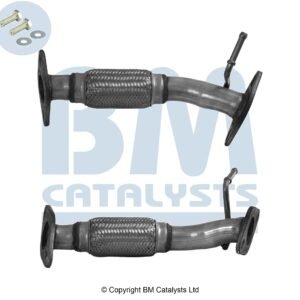 BM Catalysts  BM50308