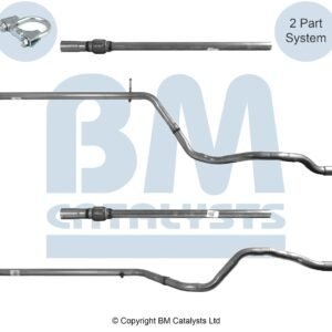 BM Catalysts  BM50379