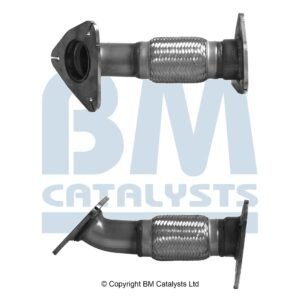 BM Catalysts  BM50787