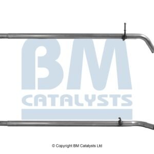 BM Catalysts  BM51007