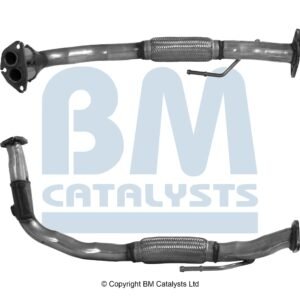 BM Catalysts  BM70010