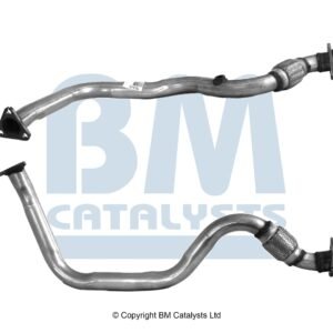 BM Catalysts  BM70310