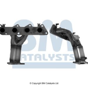 BM Catalysts  BM91529H