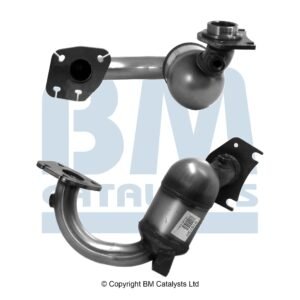 BM Catalysts  BM91973H