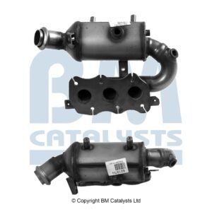 BM Catalysts  BM92197H