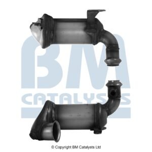 BM Catalysts  BM92748H