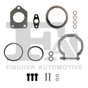 FA1  KT100570
