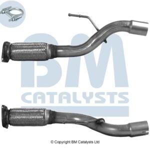 BM Catalysts BM50608
