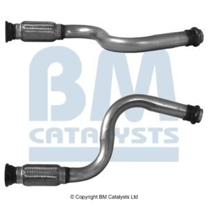 BM Catalysts BM50646