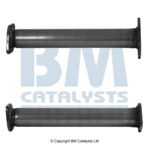 BM Catalysts BM50833