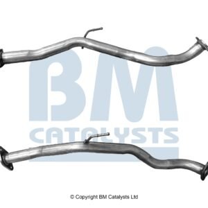 BM Catalysts BM50981
