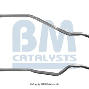 BM Catalysts BM51012