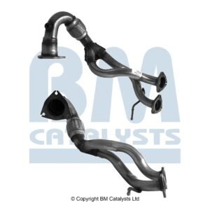 BM Catalysts BM70564