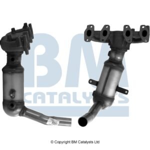 BM Catalysts BM91319H