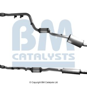 BM Catalysts BM92960H