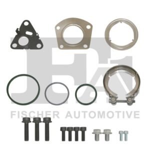 FA1 KT110110