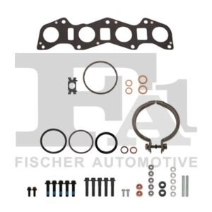 FA1 KT550510