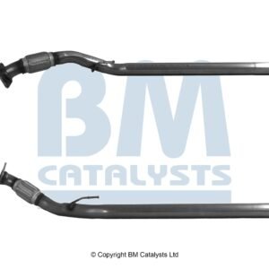 BM Catalysts BM51025