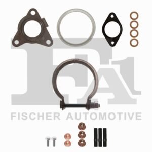 FA1 KT330870