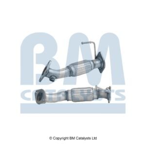 BM Catalysts BM50830