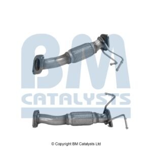 BM Catalysts BM51398