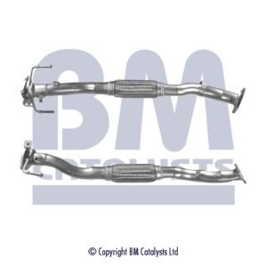 BM Catalysts BM70589